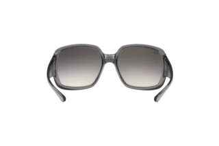 Rear view Ray-Ban POWDERHORN (RB4347 - 653011)