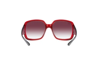 Rear view Ray-Ban POWDERHORN (RB4347 - 66628H)