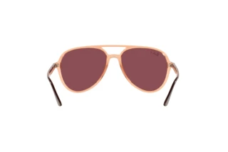 Rear view Ray-Ban RB4376 (66025Q)