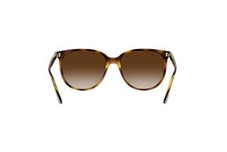 Rear view Ray-Ban RB4378 (710/13)