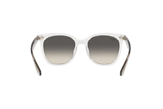 Rear view Ray-Ban RB4379D (659811)