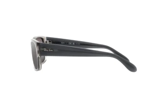Side view Ray-Ban RB4388 (6647G3)