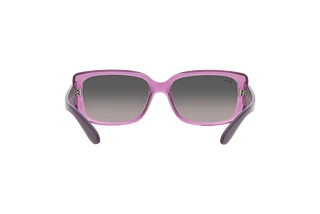 Rear view Ray-Ban RB4389 (6443M3)