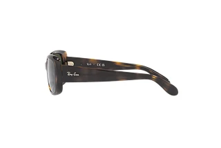Side view Ray-Ban RB4389 (710/31)