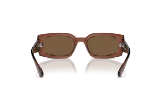 Rear view Ray-Ban KILIANE (RB4395 - 667873)