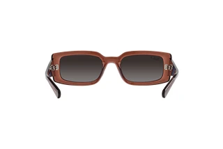 Rear view Ray-Ban KILIANE (RB4395 - 6678T3)