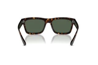Rear view Ray-Ban WARREN (RB4396 - 135971)