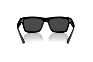 Rear view Ray-Ban WARREN (RB4396 - 667787)