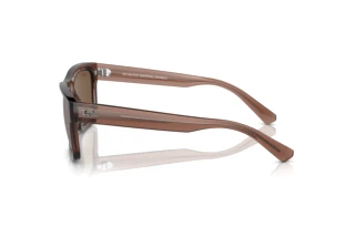 Side view Ray-Ban WARREN (RB4396 - 667873)
