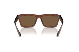 Rear view Ray-Ban WARREN (RB4396 - 667873)