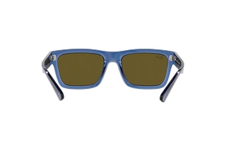 Rear view Ray-Ban WARREN (RB4396 - 668073)