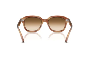Rear view Ray-Ban ERIK (RB4398 - 140351)