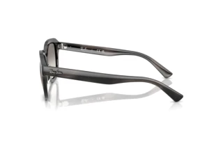Side view Ray-Ban ERIK (RB4398 - 140432)