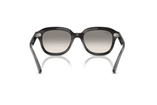 Rear view Ray-Ban ERIK (RB4398 - 140432)