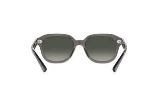 Rear view Ray-Ban ERIK (RB4398 - 667571)