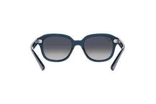 Rear view Ray-Ban ERIK (RB4398 - 667678)