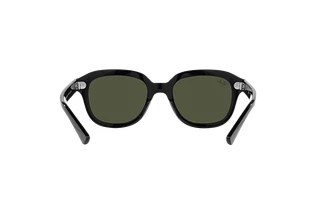 Rear view Ray-Ban ERIK (RB4398 - 901/31)