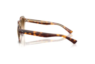 Side view Ray-Ban GINA (RB4399 - 141451)
