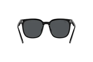 Rear view Ray-Ban RB4401D (601/87)