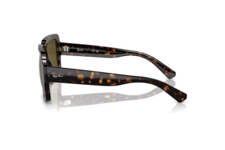 Side view Ray-Ban MAGELLAN (RB4408 - 135973)