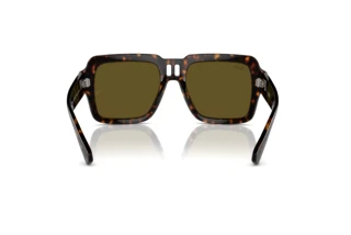 Rear view Ray-Ban MAGELLAN (RB4408 - 135973)