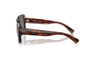 Side view Ray-Ban MAGELLAN (RB4408 - 139880)