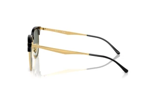 Side view Ray-Ban RB4418D (601/31)