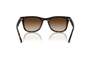Rear view Ray-Ban RB4420 (710/13)