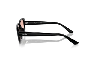 Side view Ray-Ban RB4421D (667784)