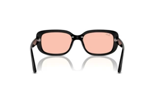 Rear view Ray-Ban RB4421D (667784)