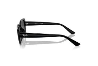 Side view Ray-Ban RB4421D (667787)