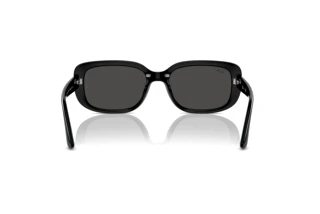 Rear view Ray-Ban RB4421D (667787)