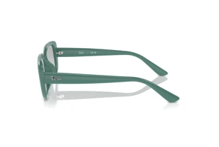 Side view Ray-Ban RB4421D (676287)