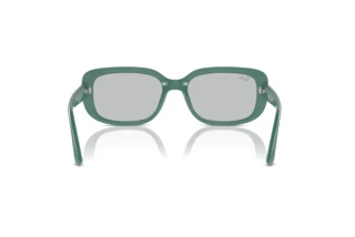 Rear view Ray-Ban RB4421D (676287)