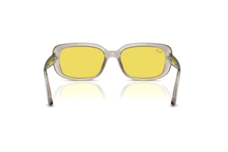 Rear view Ray-Ban RB4421D (681885)
