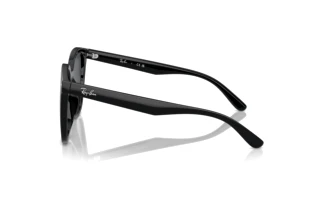 Side view Ray-Ban RB4423D (601/87)