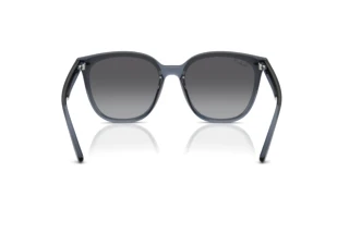 Rear view Ray-Ban RB4423D (6592T3)
