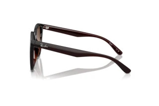 Side view Ray-Ban RB4423D (714/13)