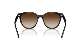 Rear view Ray-Ban RB4423D (714/13)