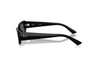 Side view Ray-Ban TERU (RB4425 - 667787)
