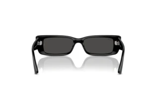 Rear view Ray-Ban TERU (RB4425 - 667787)