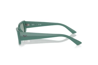 Side view Ray-Ban TERU (RB4425 - 676282)