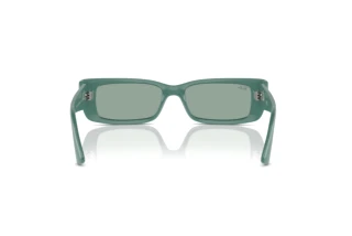 Rear view Ray-Ban TERU (RB4425 - 676282)