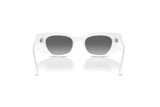 Rear view Ray-Ban KAT (RB4427 - 675911)