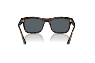 Rear view Ray-Ban RB4428 (710/R5)