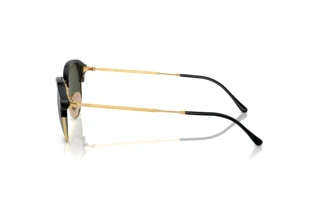 Side view Ray-Ban RB4429 (601/31)