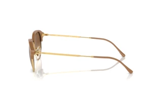 Side view Ray-Ban RB4429 (672151)