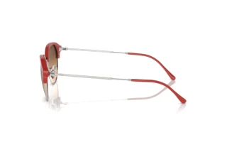 Side view Ray-Ban RB4429 (67223B)