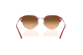 Rear view Ray-Ban RB4429 (67223B)