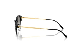 Side view Ray-Ban RB4429 (672332)